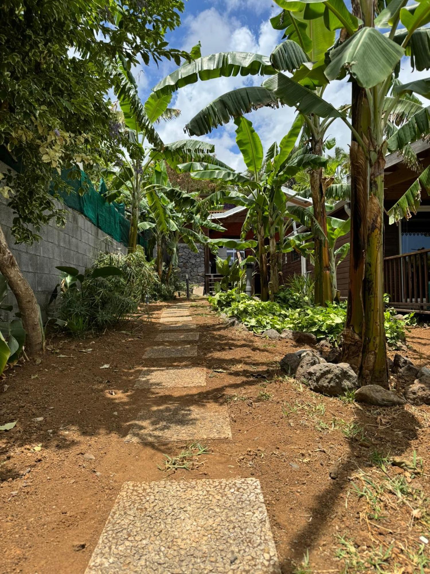 La Bananeraie Apt 35M2 Piscine Jardin Tropical Parking Prive Saint-Leu Luaran gambar